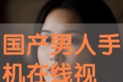国产超级在线,引领潮流的本土创新力量